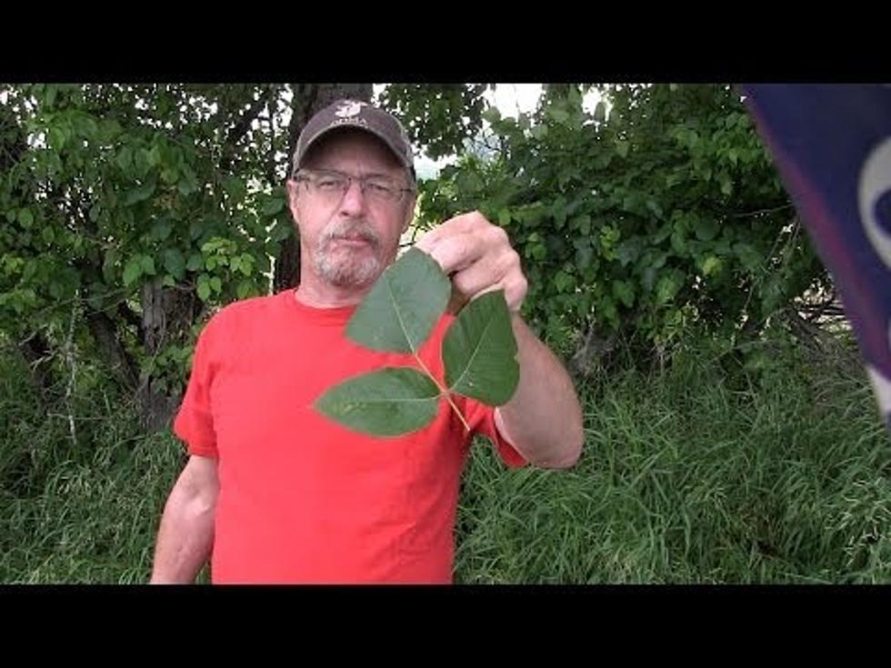 How To Never Get A Poison Ivy Rash Again! [VIDEO]