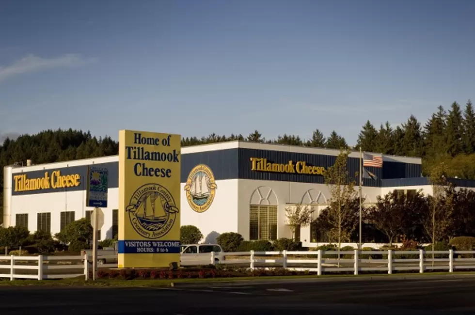 Beloved Tillamook Cheese Factory Visitor Center Closing Forever