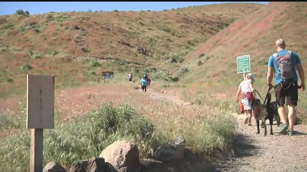 Poo Problems on Badger Mountain