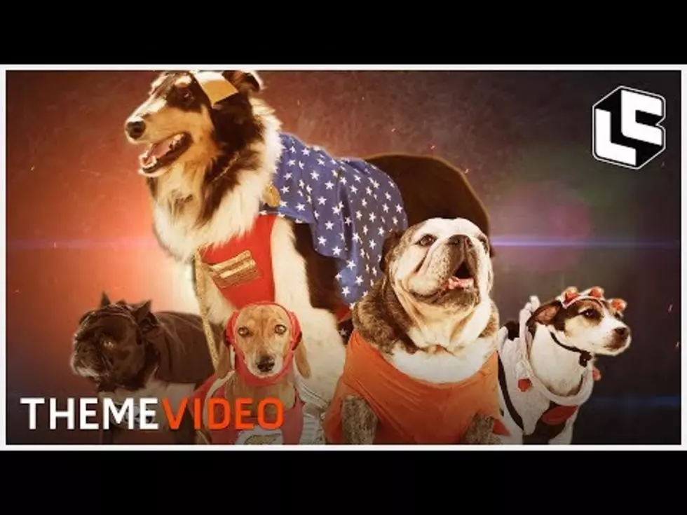 New Justice League Movie Goes To The Dogs [VIDEO]