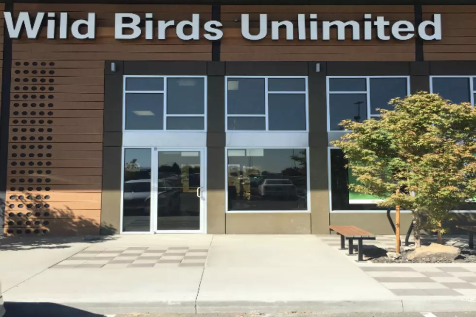 Calling all Bird Nerds – There’s a New Store Just For You