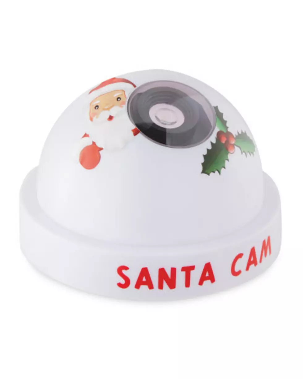 Are Santa Cams Naughty Or Nice? [POLL]