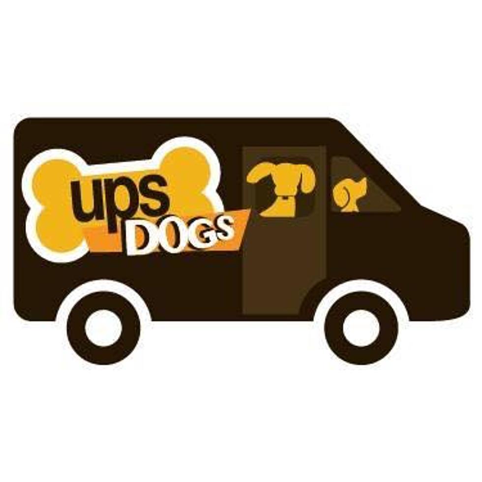 UPS Dogs Is a Real Website – Check It Out! [VIDEO]