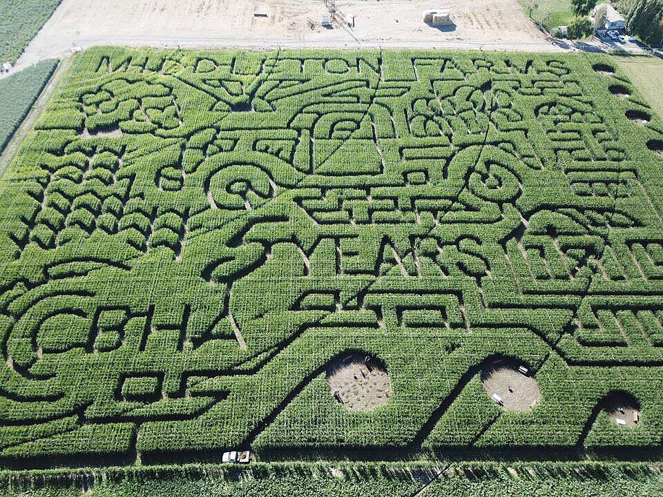 trax farms corn maze