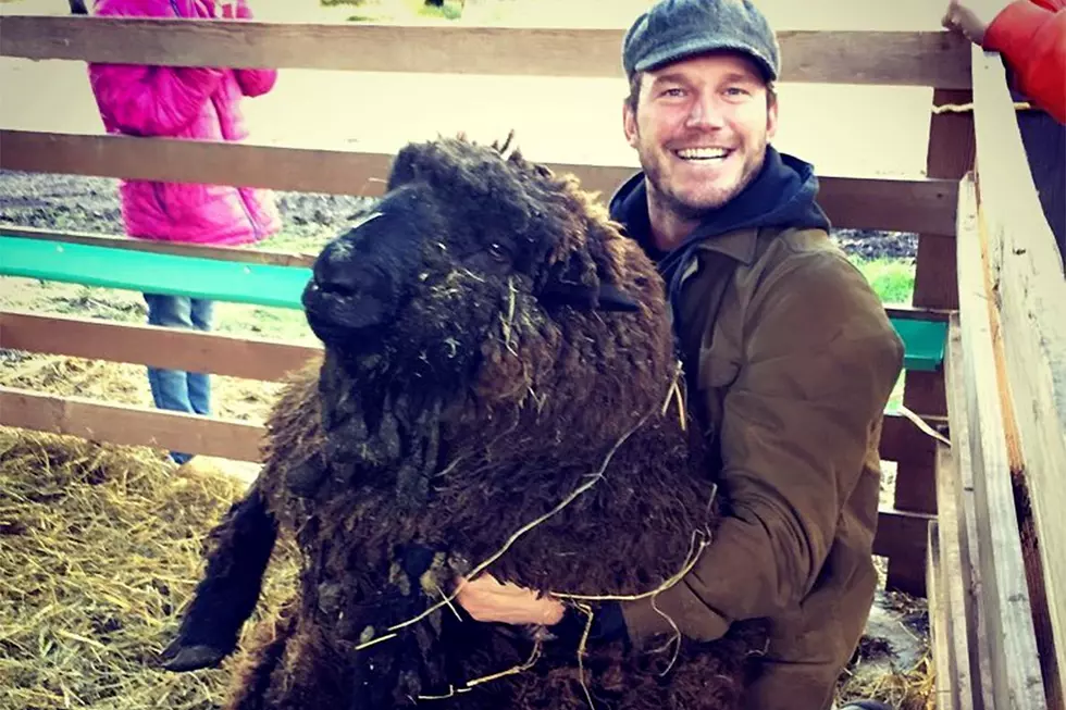 Chris Pratt Shocks With Unexpected Blue Ribbon Win At WSU EXPO