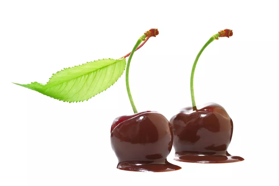 Bing Cherries Are Ready This Week, Here&#8217;s Where You Can Pick Your Own!
