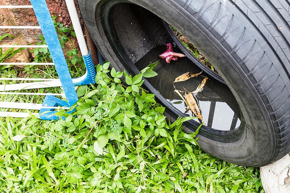 Prevent Mosquito Breeding, Get Rid of Old Tires Free