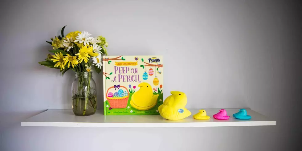 Peep on a Perch the New Must Have Easter Toy For Your Kiddos