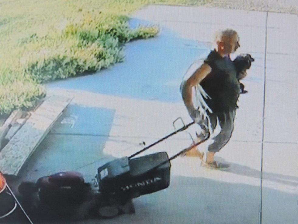 Police Searching for Man & Dog Stealing Lawnmower