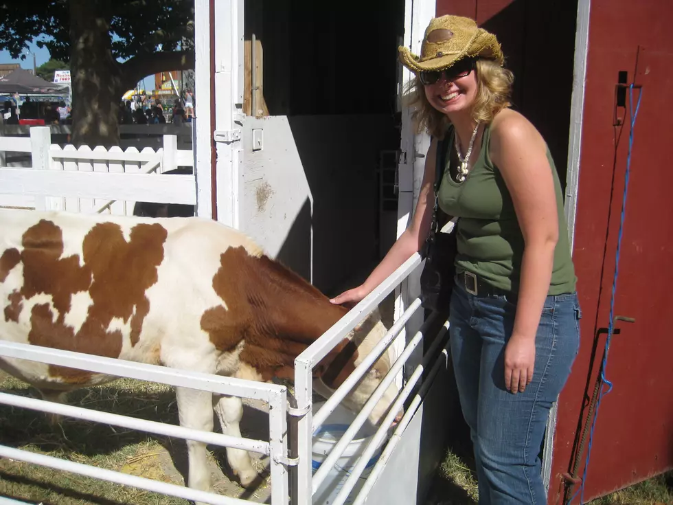 The Top 5 Things You Need To See At The Benton Franklin Fair &#038; Rodeo