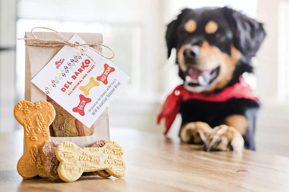 Yes! You Can Get Free Dog Treats From Del Taco!