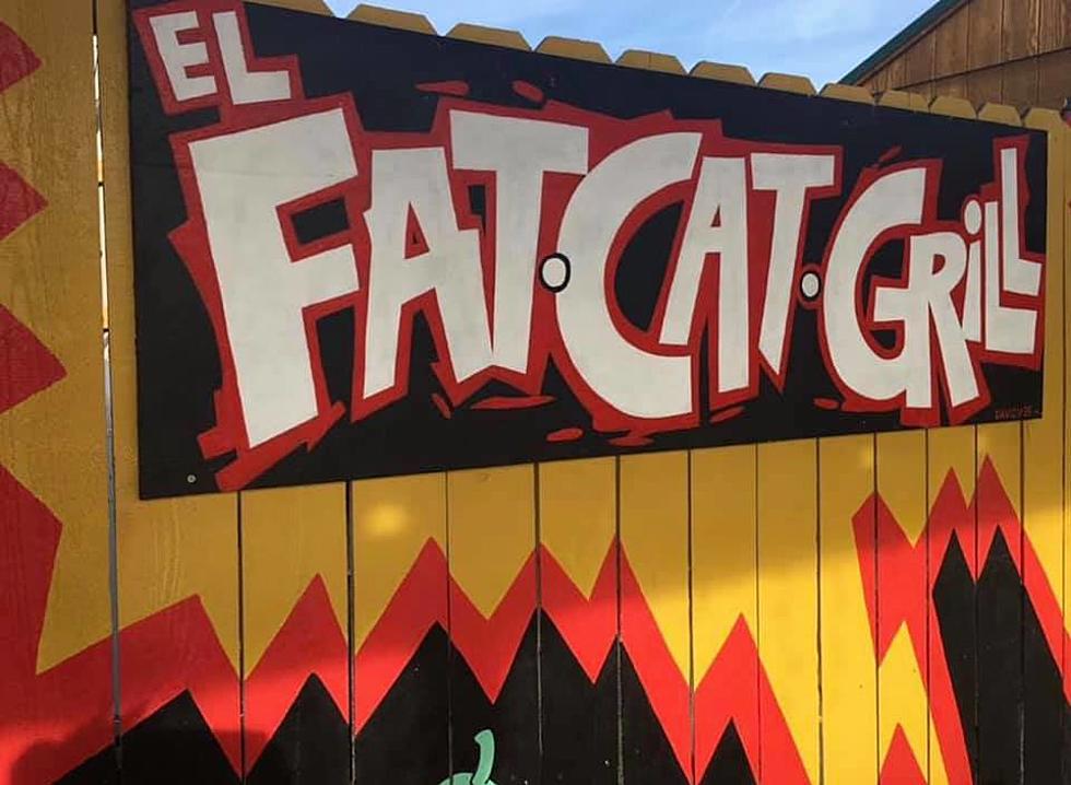 Foodie Favorite El Fat Cat Grill To Re-Open This Week