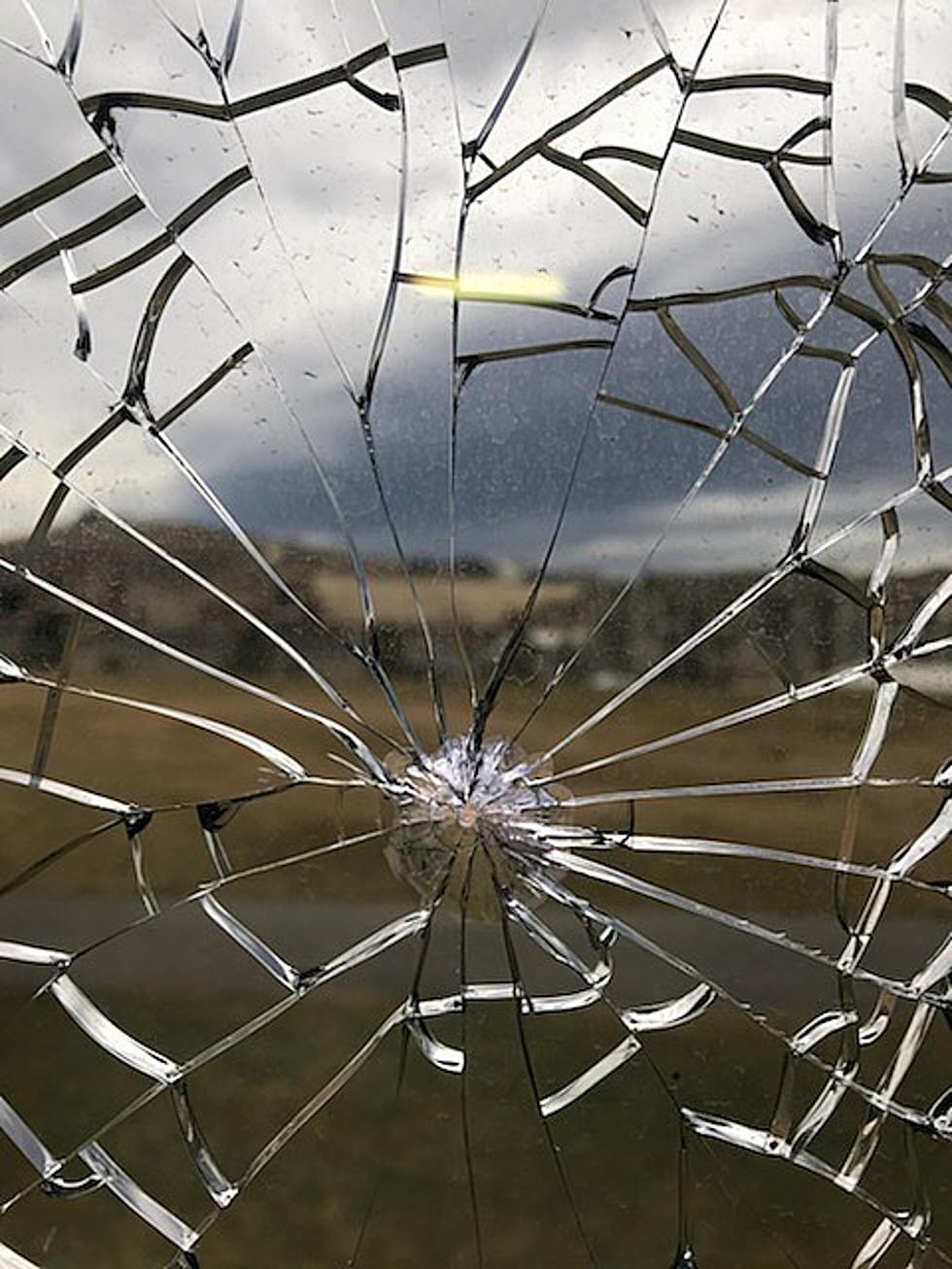 Southridge BB Gun Incident &#8211; See the Carnage