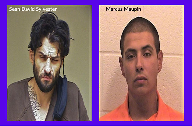 Two Stolen Vehicles Lead to Arrests