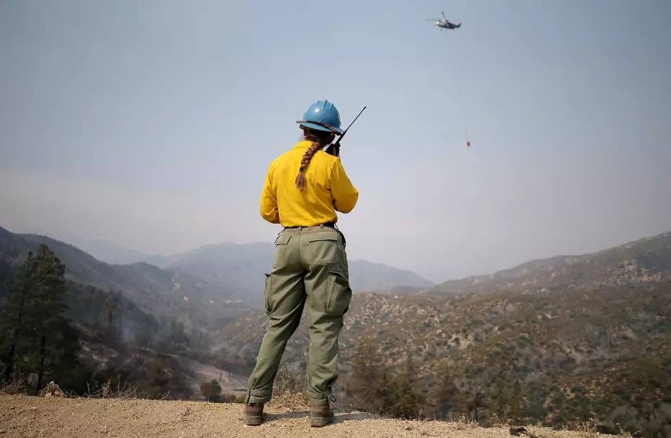 APPLY! US Forest Service Is Hiring for 1000 Jobs in Northwest