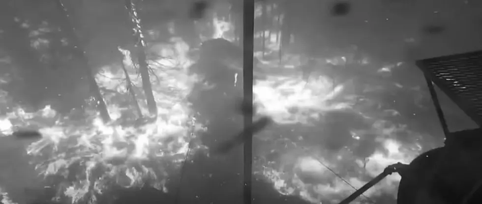 Oregon DOT Camera Captures Deadly Wildfire Speed [VIDEO]