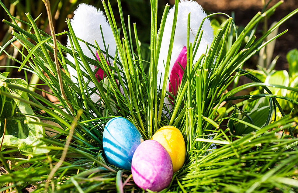 Calling all Families! Flashlight Easter Egg Hunt in Hermiston!