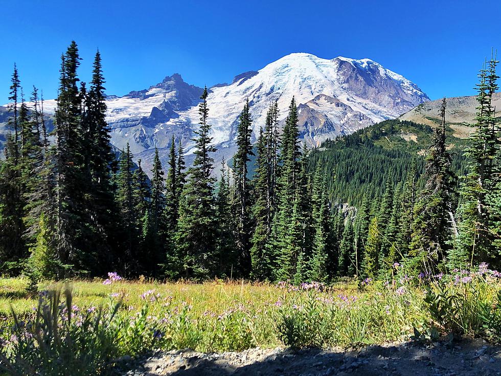 WA Tribe Proposes Re-Naming Mt. Rainier, Do You Agree? [POLL]
