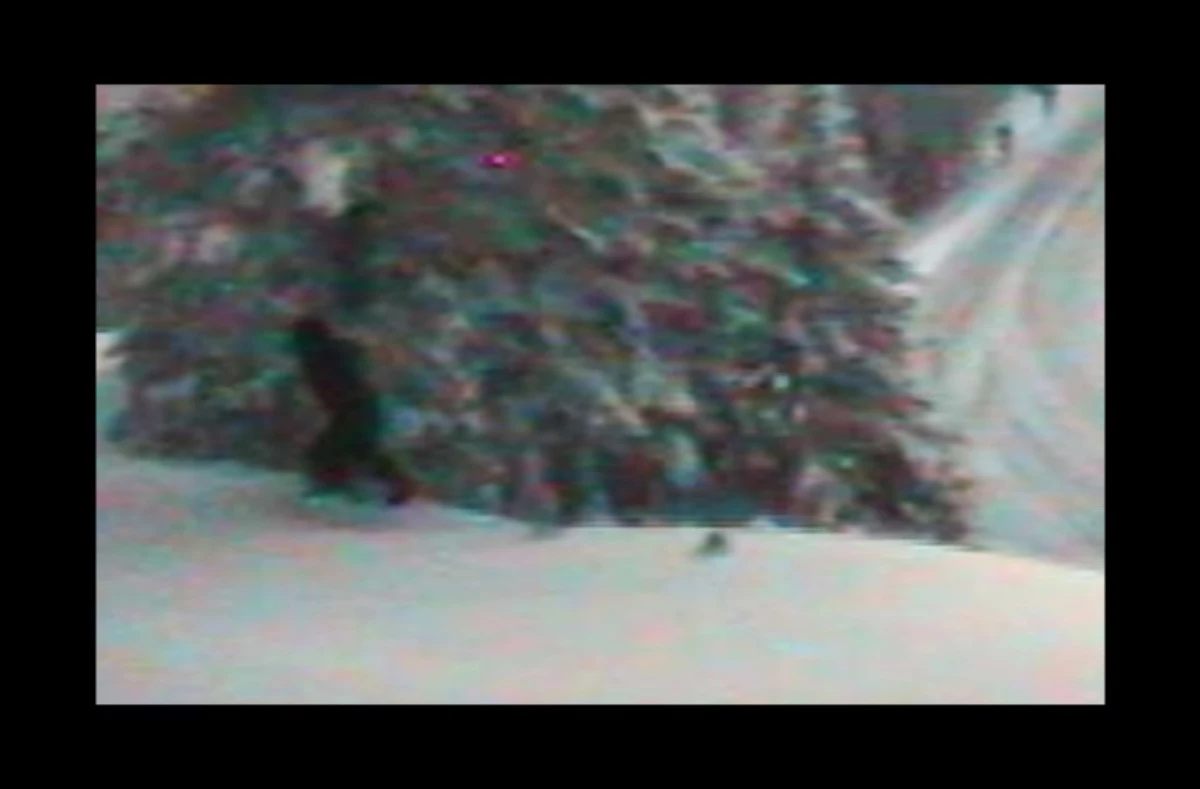 Sasquatch Spotted on WSDOT's Webcam @ Sherman Pass & SR 20