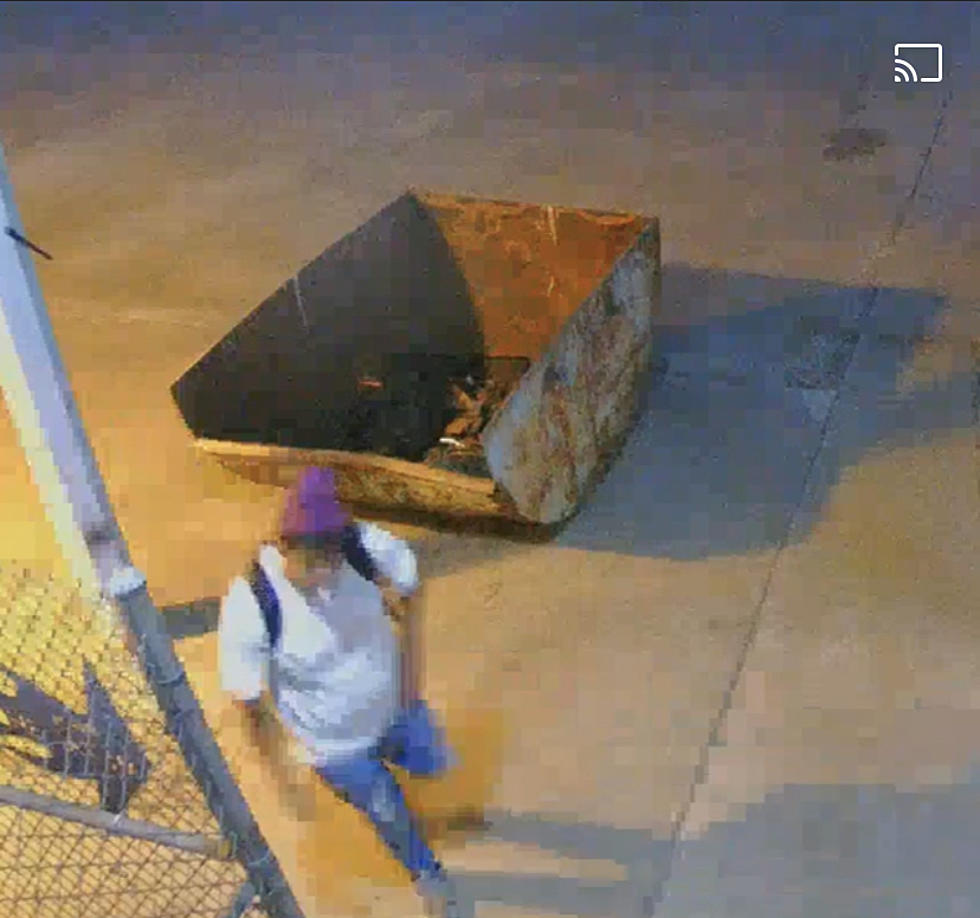 Pasco Police Seek Purple-Cap "Incompetent Burglar" [VIDEO]