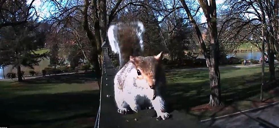 This Famous Landmark is Pretty &#8220;Nutty&#8221; And People Love It!