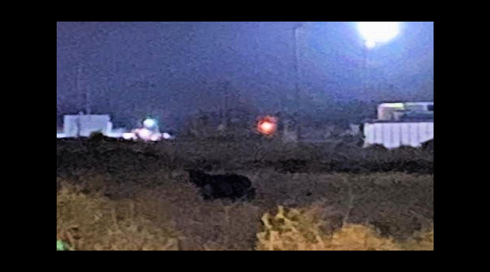 Was It a Bear, a Big Dog, or Bigfoot sighted in Hermiston? 