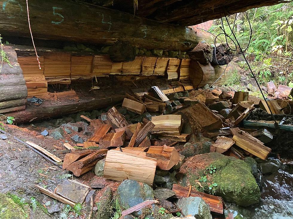 Washington State Pleads ” Don’t Take Chainsaws To Our Bridges”