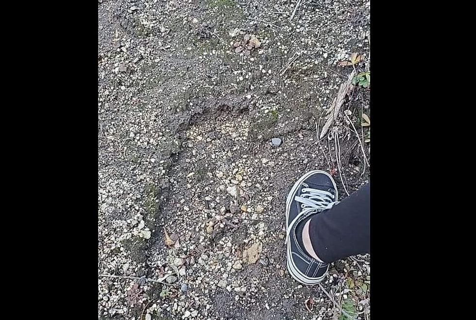Bigfoot Prints in the Shadow of Mount St. Helens Raises Questions