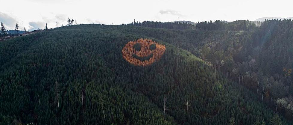 What’s The Story Behind Smiley Face In Oregon Hillside Forest?