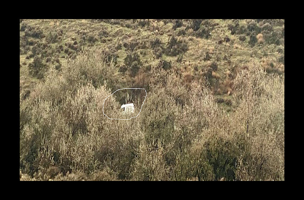 What&#8217;s the Scoop? Is There a Man in The Van in This Richland Canyon?