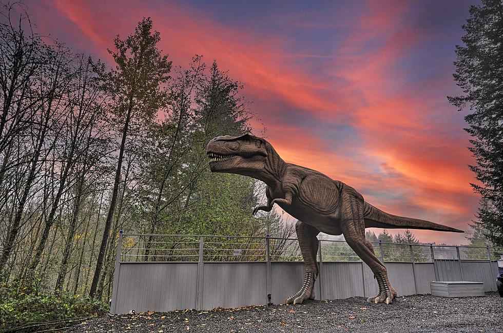 Washington Jurassic Retreat Rental Is a Roaring Good Getaway