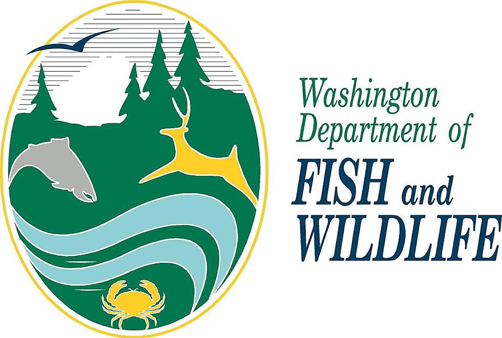 Yakima Police Search for Suspect Who Took Guns from Dept of Fish &#038; Wildlife