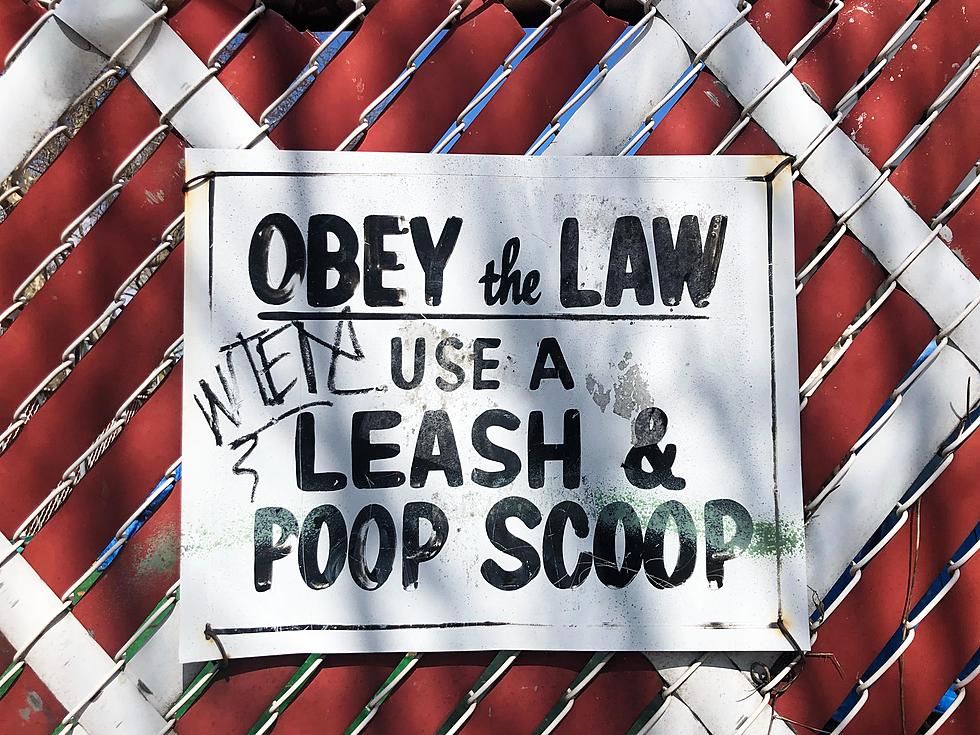 West Richland Has A Message For Dog Owners, "Obey The Law!"