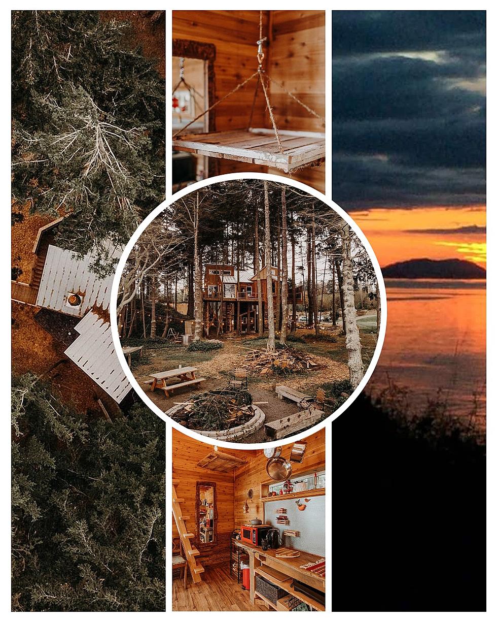 This Washington State Treehouse Airbnb Is Ranked Top 10 Best in America