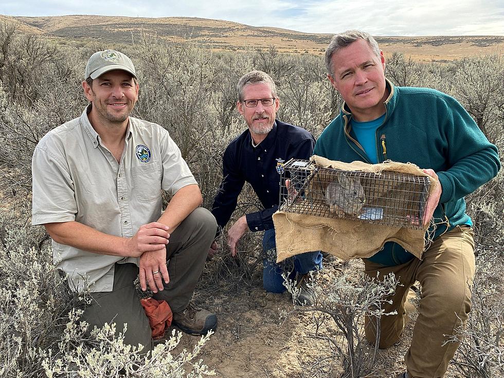 Why Was TV Star Jeff Corwin Spotted Filming in the Tri-Cities?