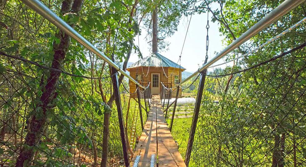 Suspended Oregon Airbnb Tree House Offers Amazing Views and Free Weed