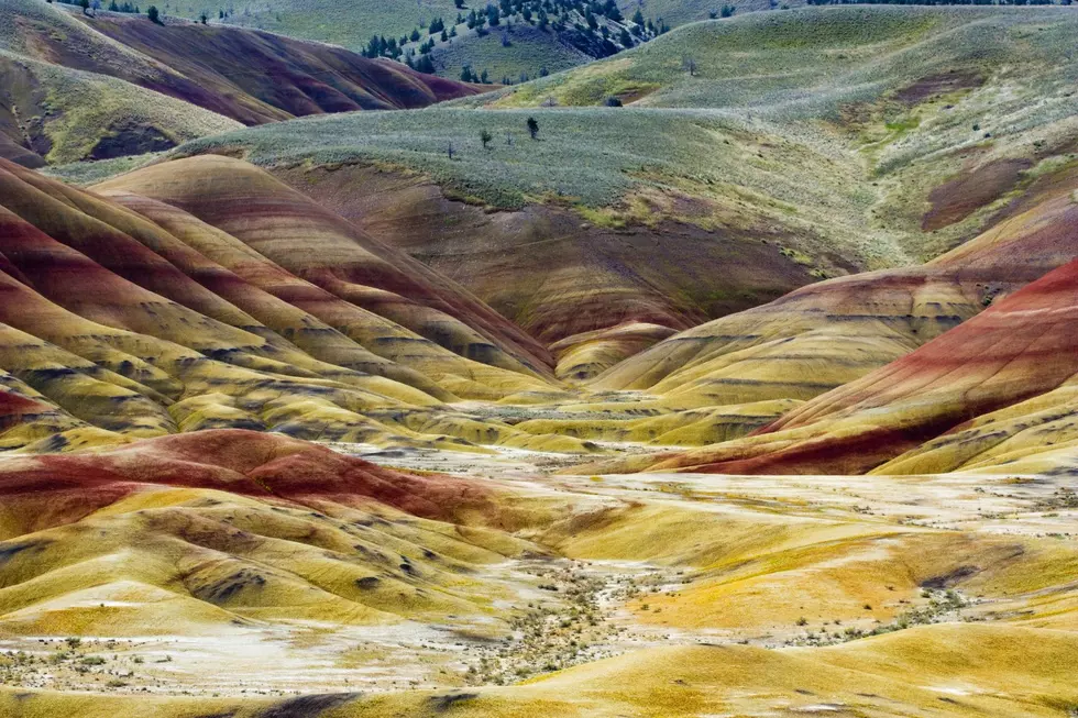 Gorgeous Painted Hills in Oregon Will Light Up Your Eyes With Wonderment
