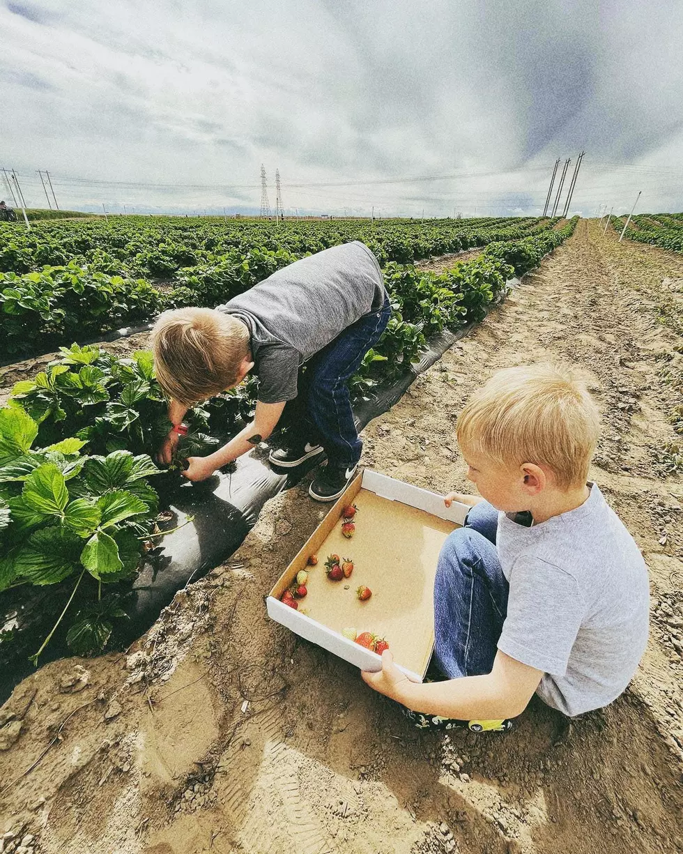 Middleton Farms Facebook