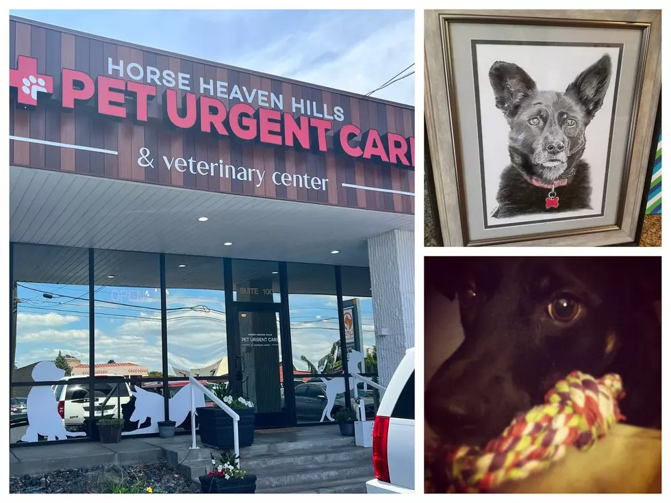 An Open Letter to Kennewick’s Horse Heaven Hills Pet Urgent Care