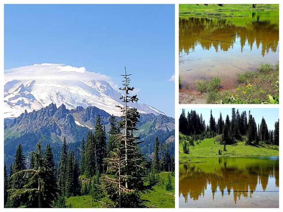 Explore This Photo Perfect Lake Near Yakima, It’s a Chinook Pass Hidden Gem