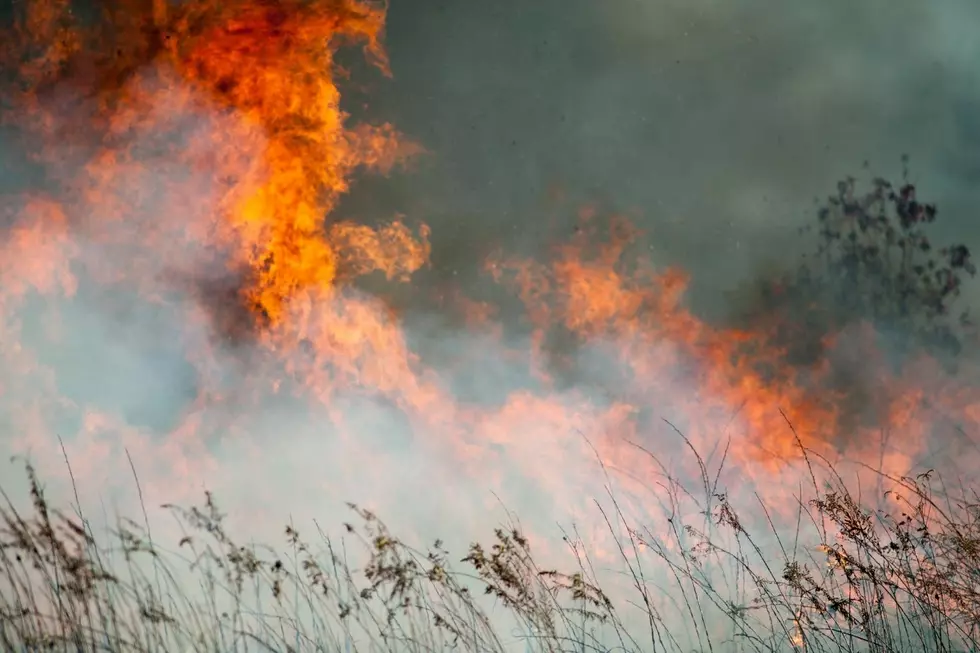 Windy Weekend Ahead for Washington Raises Dangerous Fire Concern