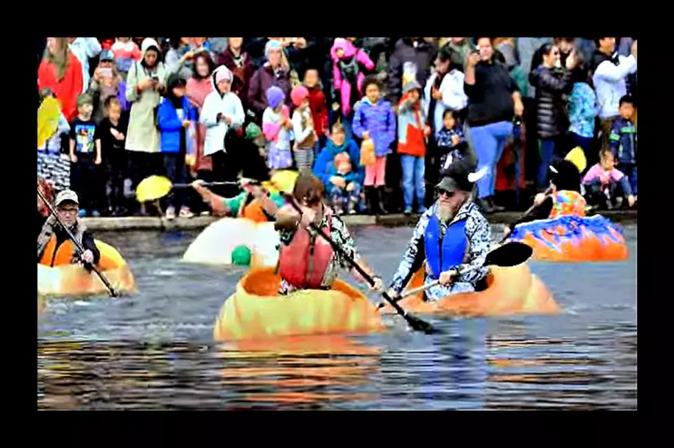 An Exciting Giant Pumpkin Regatta Is Held Yearly in This Oregon City [VIDEO]