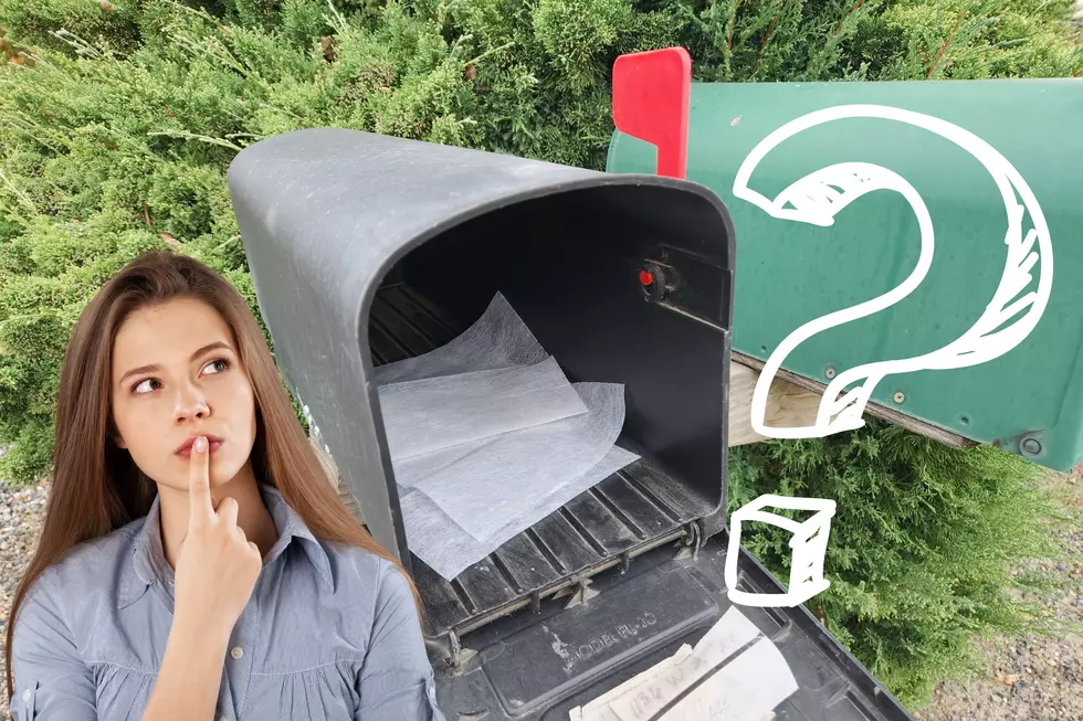 What's The Reason For Dryer Sheets In Mailboxes In Washington?