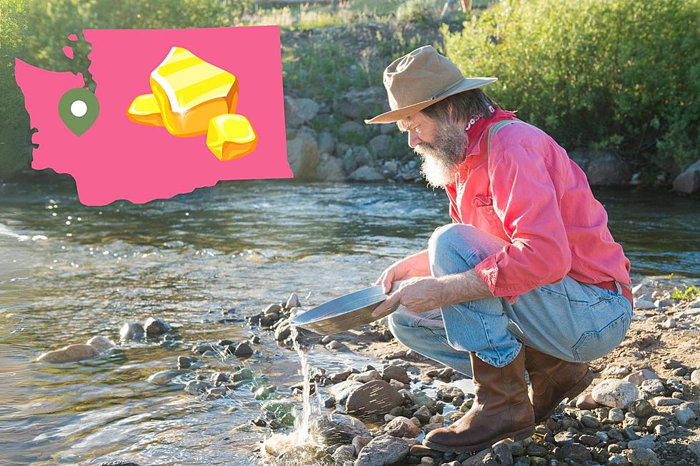 Gold Panning Near Me, Panning For Gold