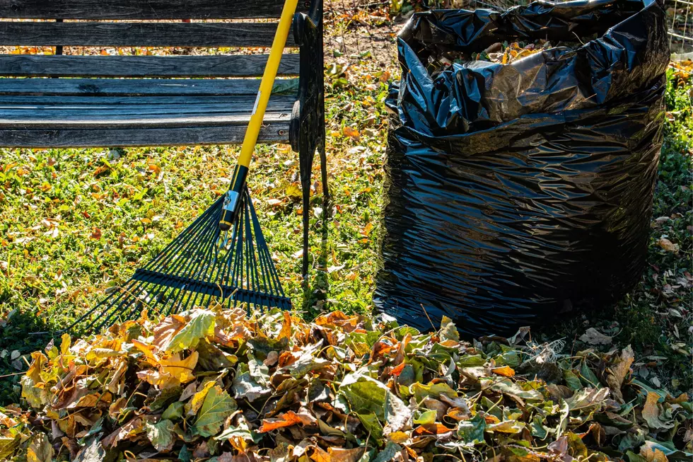 City of Kennewick Collecting Unwanted Bagged Leaves
