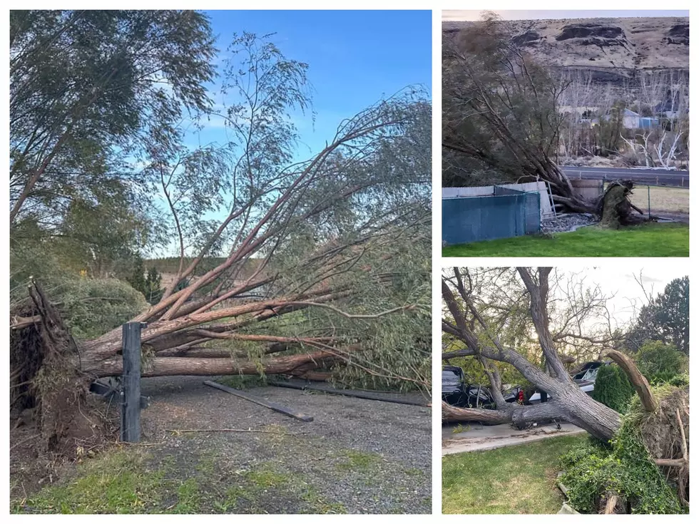 30 Gut-Wrenching Photos Shows Aftermath in Tri-Cities Windstorm