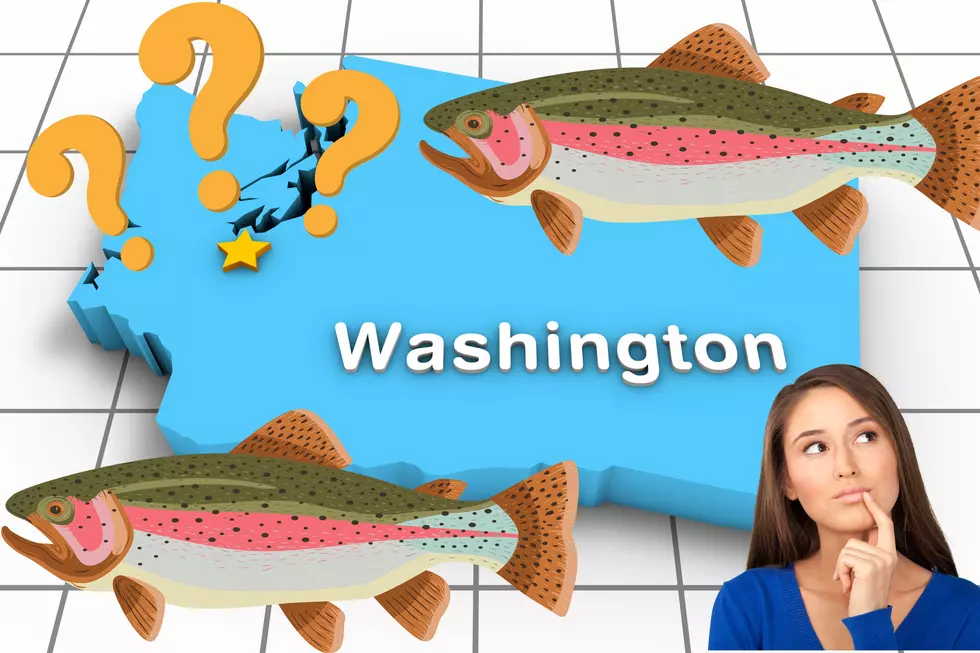 You’d Think Salmon But This Other Fish Is Washington State’s Favorite