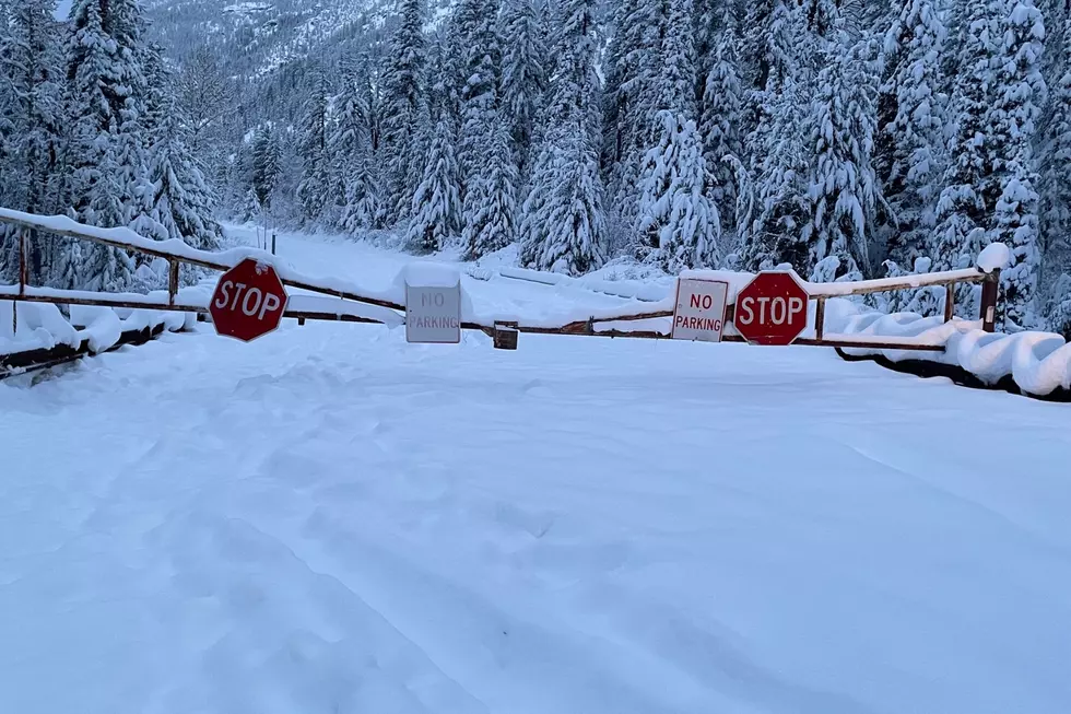 Extremely Heavy Snowfall Closes SR 20 North Cascades Highway