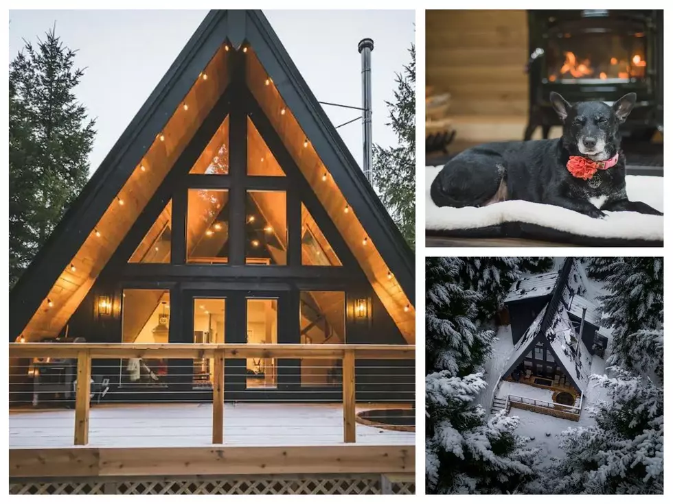 Washington State’s Most Pet Friendly Airbnb Is Two Hours From Tri-Cities
