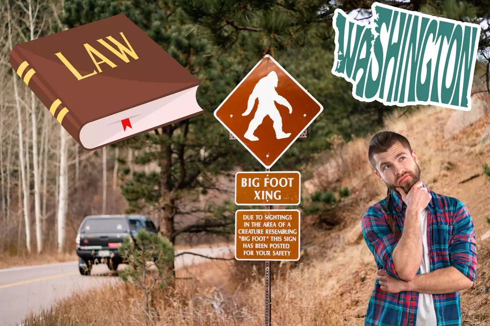 Bigfoot Is Legally Protected in These 2 Washington State Counties